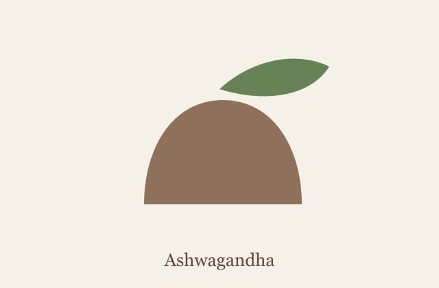 Ashwagandha extract powder and root material for supplier review
