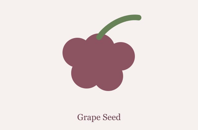 Grape seed extract powder and seed material for supplier review